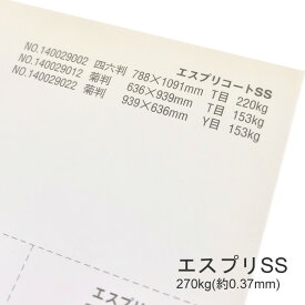 5月最大350円OFFクーポン 【特殊紙】エスプリSS-F 270kg(0.37mm) A3 50枚【キャストコート ケント紙 ツルツル】