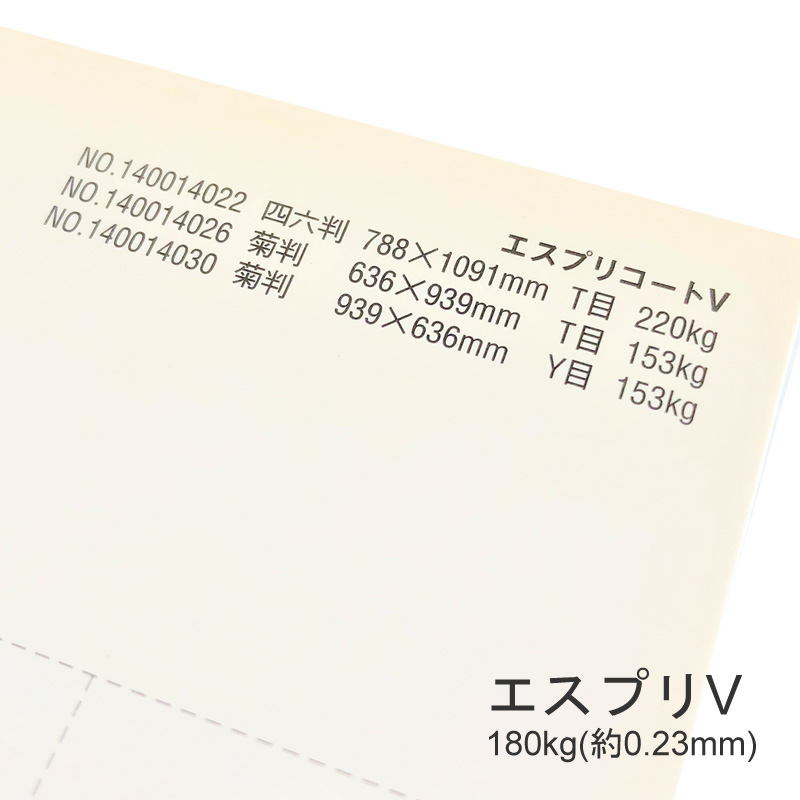 【特殊紙】エスプリV 180kg(0.23mm) A3 100枚【キャストコート 板紙 ツルツル】 | KAMIOLSHOP 楽天市場店