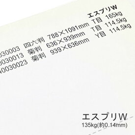 6月最大350円OFFクーポン 【特殊紙】エスプリW 135kg(0.14mm) A3 100枚【両面キャストコート ツルツル】