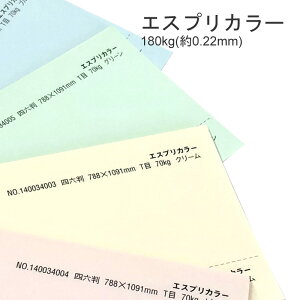 9ő800~OFFN[| yꎆzGXvJ[ 70kg(0.09mm) A3 100yv^[p LXgR[gz
