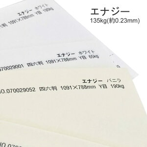 11ő800~OFFN[| yꎆzGiW[ 135kg(0.23mm)yt@V[y[p[ pz