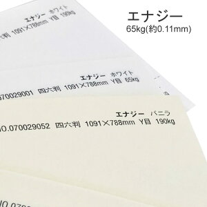 11ő800~OFFN[| yꎆzGiW[ 65kg(0.11mm)yt@V[y[p[ pz