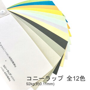 11ő800~OFFN[| yꎆzRj[bv S12F 92kg(0.11mm)yt@V[y[p[ p  z