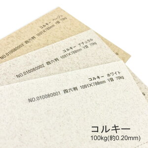 9ő800~OFFN[| yꎆzRL[ 100kg(0.20mm) B5 50Iׂ3Fyt@V[y[p[ p i` G{X ʁz