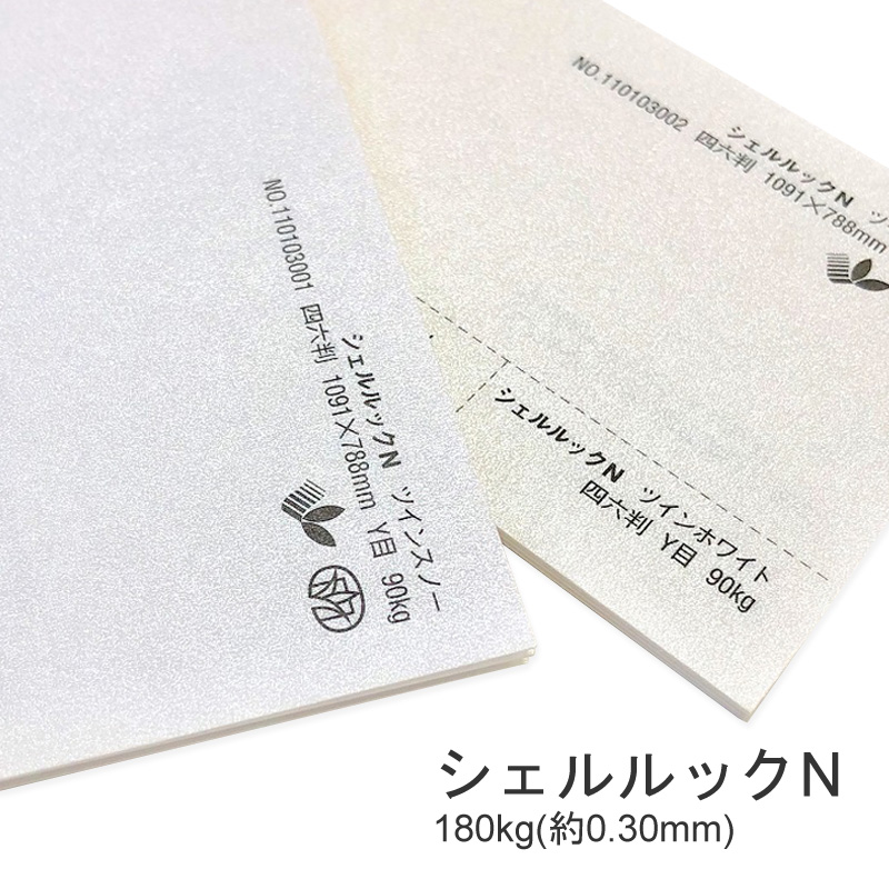5月度限定1500円OFFクーポン　シェルルックN　180kg(0.30mm)　選べる2色