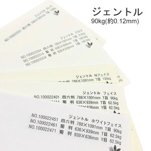9ő800~OFFN[| yꎆzWFg 90kg(0.12mm)yt@V[y[p[ pz