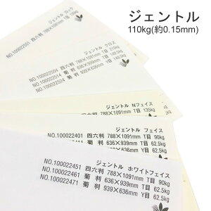 11ő800~OFFN[| yꎆzWFg 110kg(0.15mm)yt@V[y[p[ pz