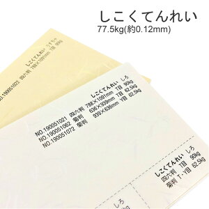 9ő800~OFFN[| yꎆzĂꂢ 77.5kg(0.12mm) B5 100Iׂ3Fyt@V[y[p[ p uh 玆  az
