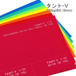 10ő800~OFFN[| yꎆz^g-V 100kg(0.18mm)yt@V[y[p[ pz
