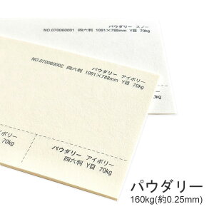 11ő800~OFFN[| yꎆzpE_[ 160kg(0.25mm)@Iׂ2Fyt@V[y[p[ pz