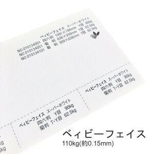9ő800~OFFN[| yꎆzxBr[tFCXN 110kg(0.15mm)yꎆ pz