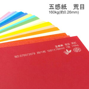 10ő800~OFFN[| yꎆz܊ r 160kg(0.26mm)Iׂ38Fyt@V[y[p[ p ^͗l G{X ʁz