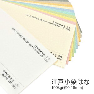 10ő800~OFFN[| yIׂ9Fz]ˏ͂ 100kg  0.16mm A4 50 t@V[y[p[ ꎆ p ^͗l  G{X EFfBO uC_ ԕ a HF̎ q