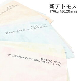 12月最大800円OFFクーポン 【全8色】 新アトモス A4 100枚 厚さ0.28mm 1000枚あたり170kg 特殊紙 ファンシーペーパー 印刷用紙 画用紙 もやもや柄 ラフ肌 マーブル おしゃれ 上品 パステルトーン ブライダル 結婚式 フォーマル