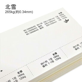 3月最大350円OFFクーポン 【特殊紙】北雪 265kg(0.34mm)【ファンシーペーパー 印刷用紙 ケント紙 カード 厚紙】