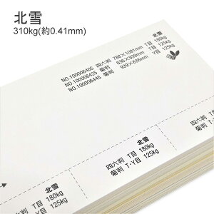 【特殊紙】北雪 310kg(0.41mm)【ファンシーペーパー 印刷用紙 ケント紙 カード 厚紙 厚い紙】