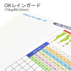 9ő800~OFFN[| y͂zOKCK[h 172kg(0.23mm)@Iׂ4TCYyꎆ t@V[y[p[ p ItZbg [U[ Ή z