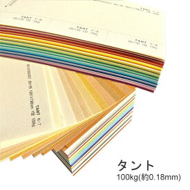 4月最大350円OFFクーポン 【特殊紙】タント 100kg(0.18mm) N色【TANT ファンシーペーパー 印刷用紙 ラフ肌 柔らかいエンボス】