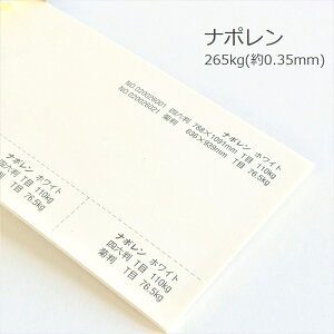 1���ő�800�~OFF�N�[�|�� �y���ꎆ�z�i�|���� 265kg(0.35mm)�y�t�@���V�[�y�[�p�[ ����p���z