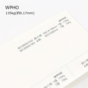 9ő800~OFFN[| yꎆzWPHO 135kg(0.17mm) A3 50yCNWFbgΉ [U[v^[Ή s@ Pgz
