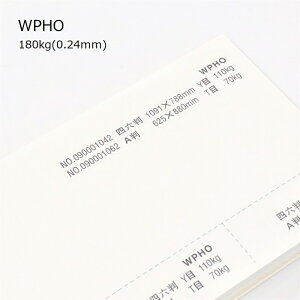 10ő800~OFFN[| yꎆzWPHO 180kg(0.24mm) A3 50yCNWFbgΉ [U[v^[Ή s@ Pgz