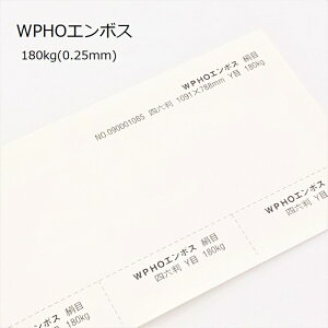 11ő800~OFFN[| yꎆzWPOG{X 180kg(0.25mm) A3 100yCNWFbgΉ [U[v^[Ή G{X ځz