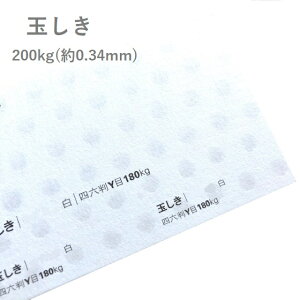 9ő800~OFFN[| yꎆzʂ 200kg(0.34mm) B5 100t@V[y[p[ p y[p[Ntg  ͗lz