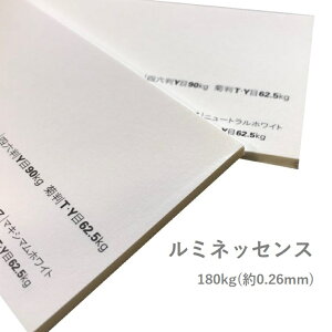 11ő800~OFFN[| yꎆz~lbZX 180kg(0.26mm) A4 100yt@V[y[p[ X[X z