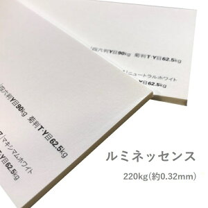 11ő800~OFFN[| yꎆz~lbZX 220kg(0.32mm) A4 100yt@V[y[p[ X[X z