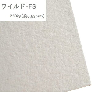 11ő800~OFFN[| yꎆzCh-FS 220kg(0.60mm) A4 100yt@V[y[p[ t@킲@@z