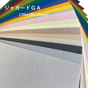 6���ő�800�~OFF�N�[�|�� �y���ꎆ�z�W���K�[�hGA 170kg(0.26mm) A4 100���y�t�@���V�[�y�[�p�[ �J���[�@�G���{�X�@�D���z
