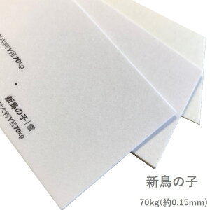 12ő800~OFFN[| yꎆzV̎q 70kg(0.15mm) A4 100yt@V[y[p[ J[@t@az