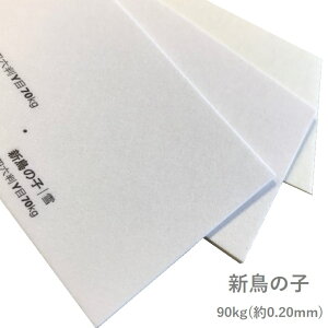 12ő800~OFFN[| yꎆzV̎q 90kg(0.20mm) A4 100yt@V[y[p[ J[@t@az