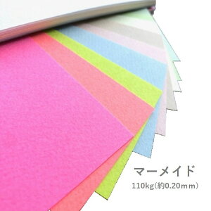 9ő800~OFFN[| yꎆz}[Ch 110kg(0.20mm) B4 100 (J[2)yt@V[y[p[ J[ ʉ Fp ʎz