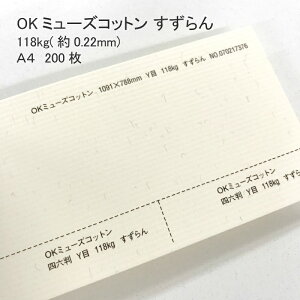 10月最大800円OFFクーポン 【 数量限定 特殊紙 】 OKミューズコットン 118kg ( 0.22mm ) すずらん A4 200枚 | ファンシーペーパー ストライプ 印刷用紙 レイド柄 ライン模様 すのめ すの目 スノメ 文集