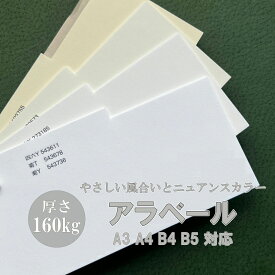 6月最大800円OFFクーポン 【特殊紙】アラベール-FS 160kg(0.25mm) A4 100枚【ファンシーペーパー カラー　スムース　落ち着いた色合い】