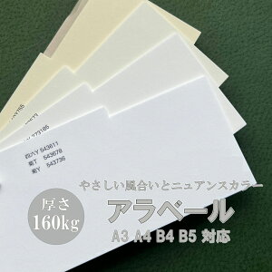 11ő800~OFFN[| yꎆzAx[-FS 160kg(0.25mm) A4 100yt@V[y[p[ J[@X[X@Fz