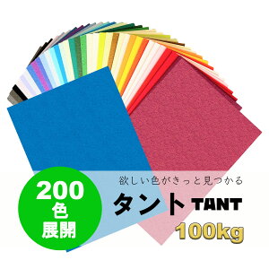 9ő800~OFFN[| yꎆz^g 100kg(0.18mm) MF B5 100yTANT t@V[y[p[ p t _炩G{Xz
