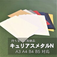 9月最大800円OFFクーポン 【選べる13色】 キュリアスメタルN 厚さ0.33mm 220.3kg A3 A4 B4 B5 特殊紙 フ…