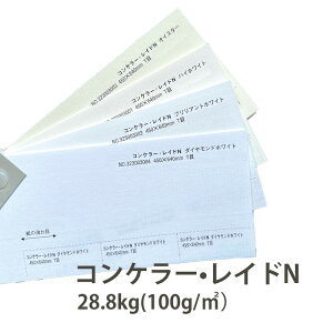 10月最大800円OFFクーポン 【特殊紙】 コンケラー・レイドN 厚さ 28.8kg 100g/平米 0.14mm ステーショナリーペーパー 選べるサイズ 選べるカラー 簀の目模様 業務用 ビジネス 仕事 事務作業 まとめ