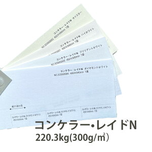 10ő800~OFFN[| yꎆz RP[EChN  220.3kg 300g/ 0.39mm Xe[Vi[y[p[ IׂTCY IׂJ[ ł̖ږ͗l Ɩp rWlX d  ܂Ƃ