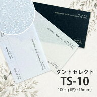 9月最大800円OFFクーポン 【特殊紙】TS-10(タントセレクト10) 100kg(0.16mm)選べる3色【ファンシーペーパ…