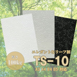 10ő800~OFFN[| yꎆzTS-10(^gZNg10) 100kg(0.16mm) B5 50Iׂ3Fyt@V[y[p[ p ^͗l G{X Ao䎆 r[ K[hz