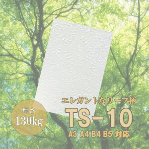 10ő800~OFFN[| yꎆzTS-10(^gZNg10) 130kg(0.20mm) B5 50yt@V[y[p[ p  ҏ ^͗l G{X Ao䎆 r[ K[hz
