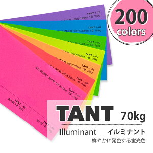 11ő800~OFFN[| yꎆz^g 100kg(0.18mm) IFyTANT t@V[y[p[ p uF lIJ[ t _炩G{Xz