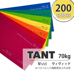 11ő800~OFFN[| yꎆz^g 100kg(0.18mm) VFyTANT t@V[y[p[ p t _炩G{Xz