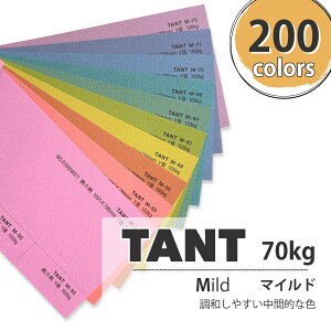 10月最大800円OFFクーポン 【特殊紙】タント 70kg(0.12mm) M色【TANT ファンシーペーパー 印刷用紙 ラフ肌 柔らかいエンボス】