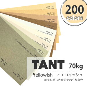 11ő800~OFFN[| yꎆz^g 100kg(0.18mm) YFyTANT t@V[y[p[ p t _炩G{Xz