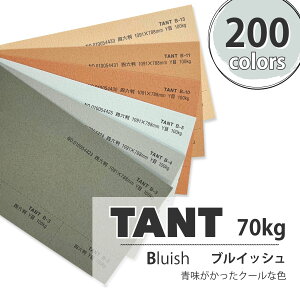 11ő800~OFFN[| yꎆz^g 70kg(0.12mm) BFyTANT t@V[y[p[ p t _炩G{Xz