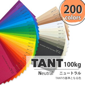 11ő800~OFFN[| yꎆz^g 100kg(0.18mm) NF B5 100yTANT t@V[y[p[ p t _炩G{Xz